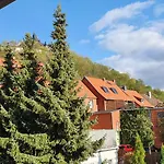 Zum Schluckspecht