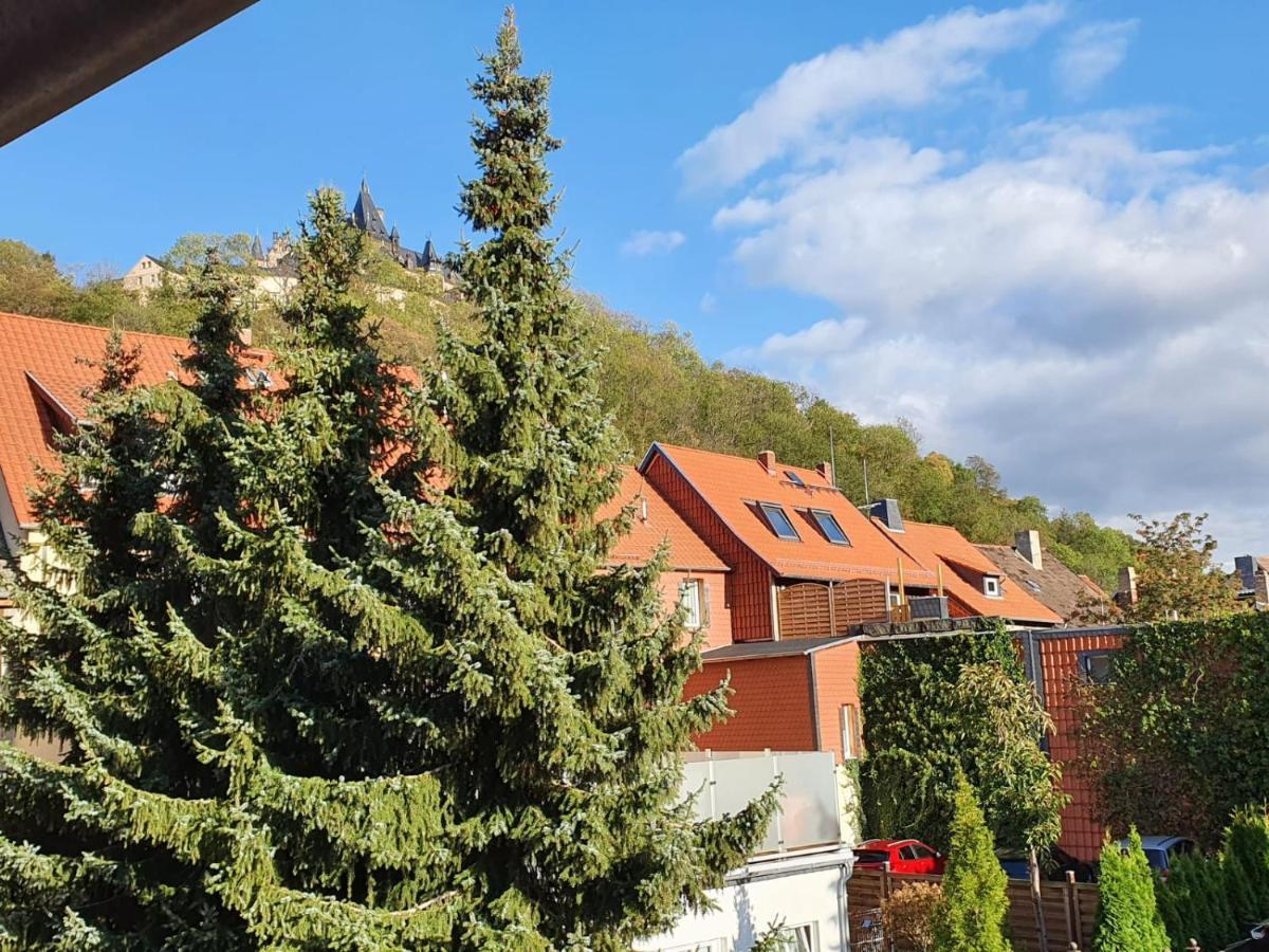 Zum Schluckspecht Apartment